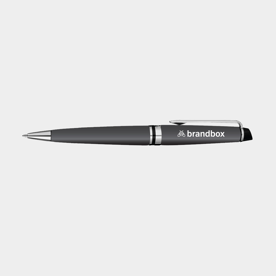 Waterman Expert Ballpoint - Matte