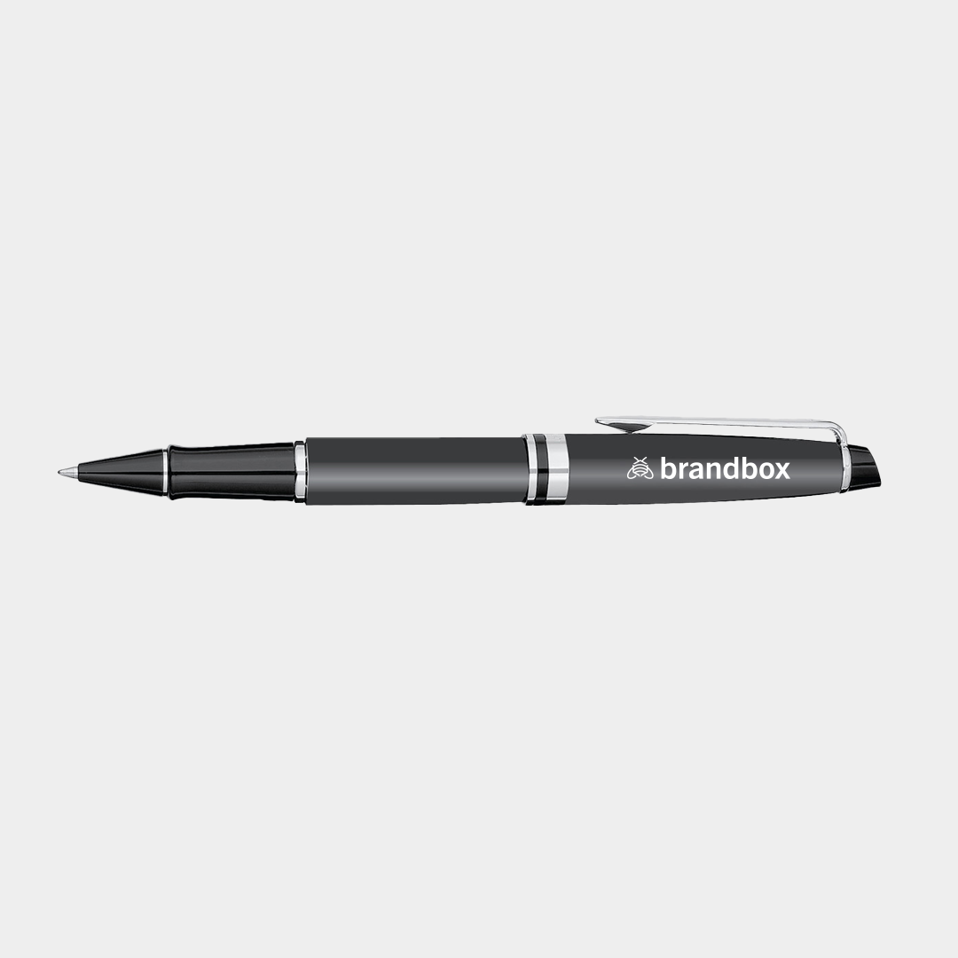 Waterman Expert Rollerball - Matte