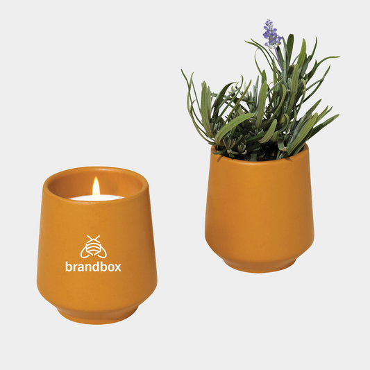 Modern Sprout® Rooted Candle