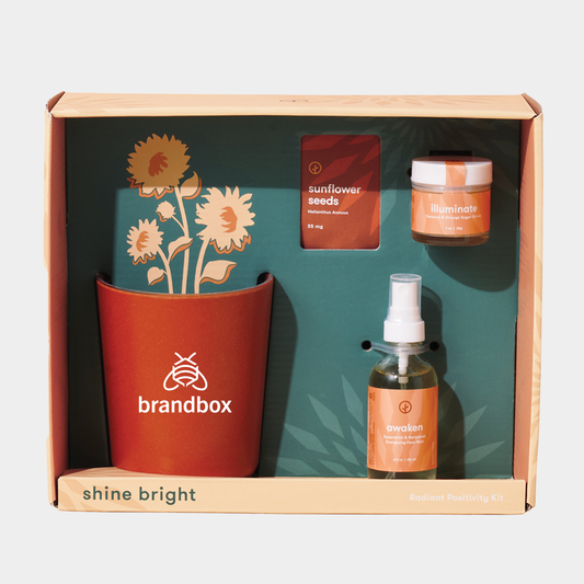 Modern Sprout® Shine Bright Take Care Kit - Sunflower